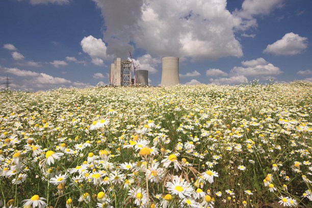 Klimaschutzplan, Kamille mit Kraftwerk im Hintergrund Klimaschutzplan, Kamille mit Kraftwerk im Hintergrund
