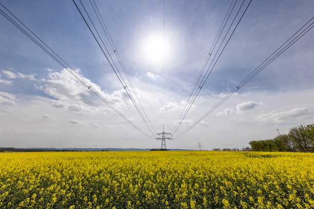 Strommasten und Stromleitungen im Rapsfeld Strommasten und Stromleitungen im Rapsfeld